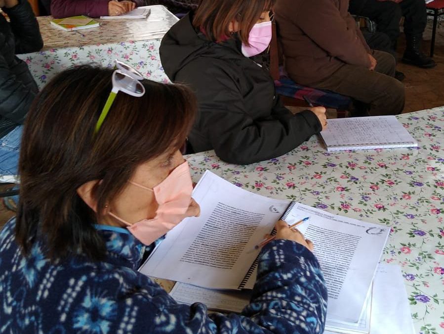 Mujeres dirigentas de Aysén participarán en curso “Formación de Directoras de Organizaciones de Usuarios con Enfoque de Género”