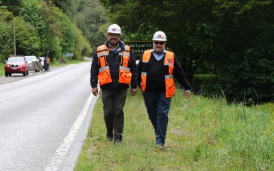 Gobierno inicia Plan de Construcción de Cortafuegos para prevenir incendios forestales en la región de Aysén