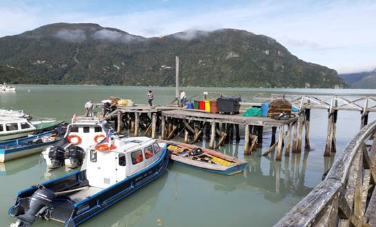 En licitación se encuentra diseño para reponer dos muelles en Caleta Tortel que mejorarán conectividad interna de vecinos y vecinas