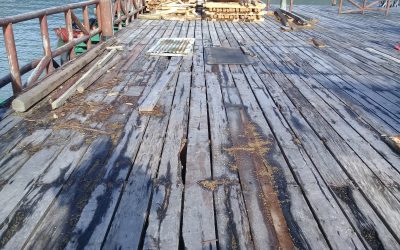 MOP Mejorará  Muelle en Caleta Tortel