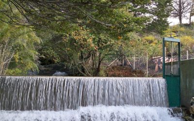 Sobre 2000 millones invertirá el MOP en mejorar el APR de Villa Frei, y ampliar los APR de Caleta Tortel y de Villa Mañihuales